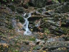 霍爾德余氯分析儀,可用于水源保護工作