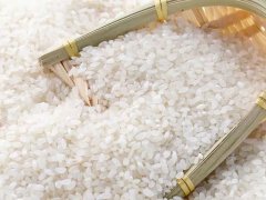 大米重金屬鎘檢測(cè)儀,可實(shí)現(xiàn)重金屬的快速定量檢測(cè)分析