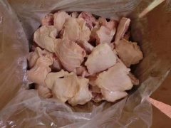 動物疫病診斷儀可以檢測環丙沙星嗎？